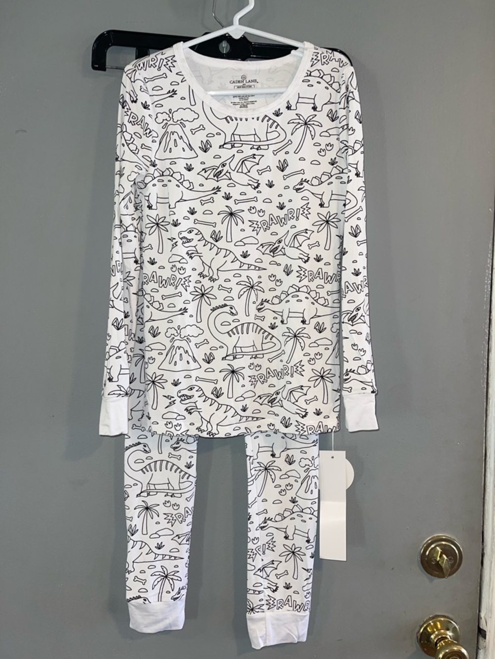 NWT Caden lane color me dinosaur bamboo pajamas
